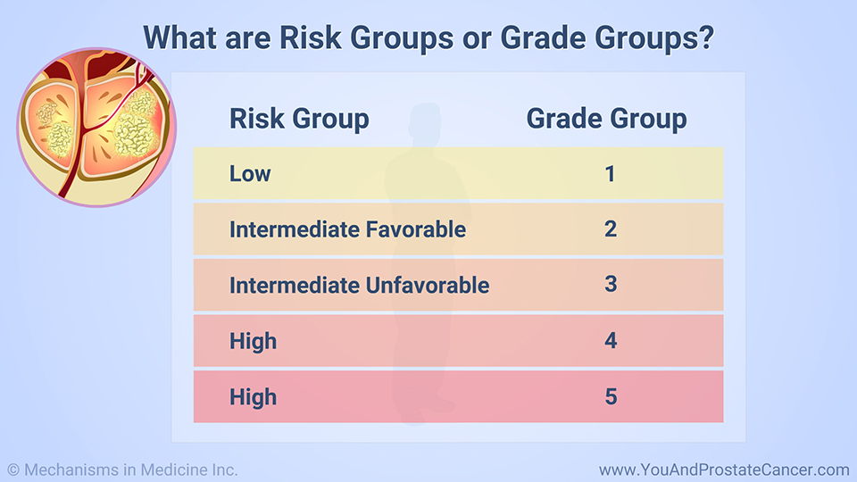Grade Groups